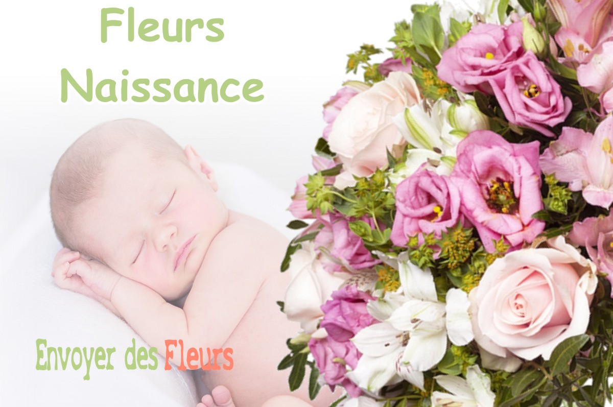 lIVRAISON FLEURS NAISSANCE à VARCES-ALLIERES-ET-RISSET